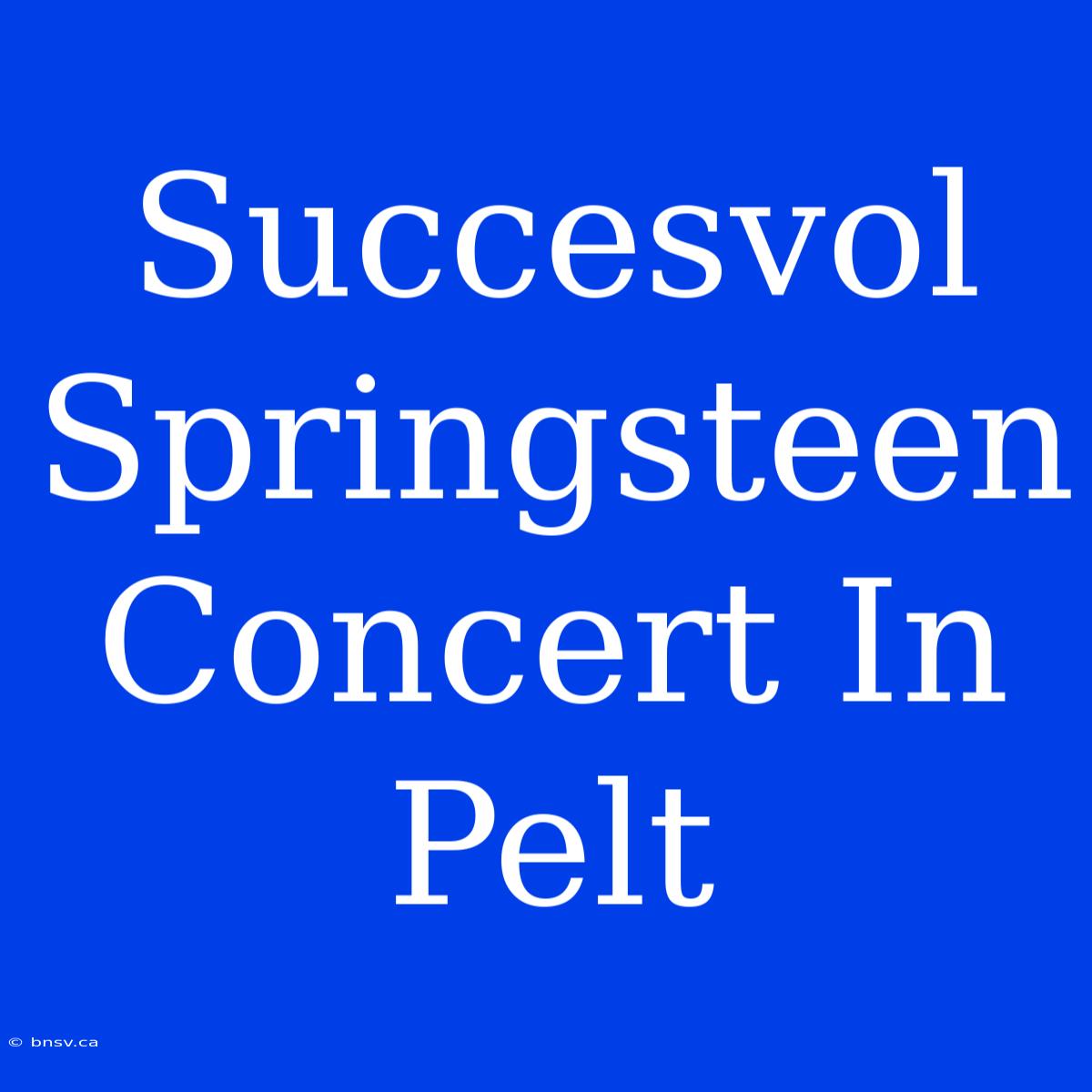 Succesvol Springsteen Concert In Pelt