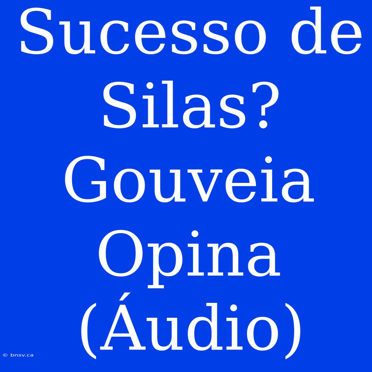 Sucesso De Silas? Gouveia Opina (Áudio)