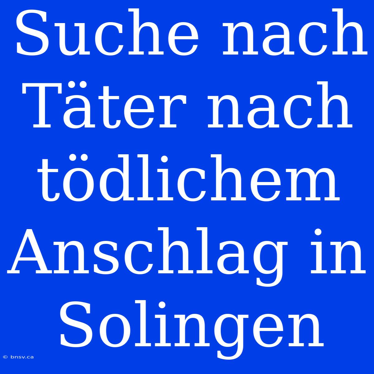 Suche Nach Täter Nach Tödlichem Anschlag In Solingen