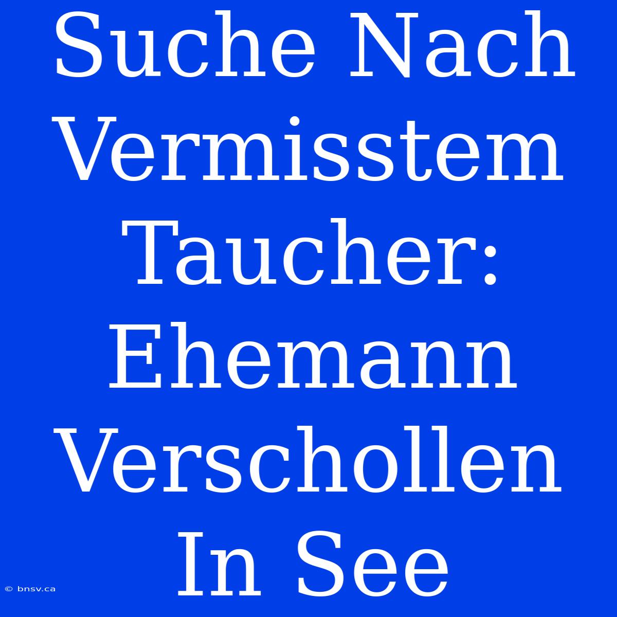 Suche Nach Vermisstem Taucher: Ehemann Verschollen In See