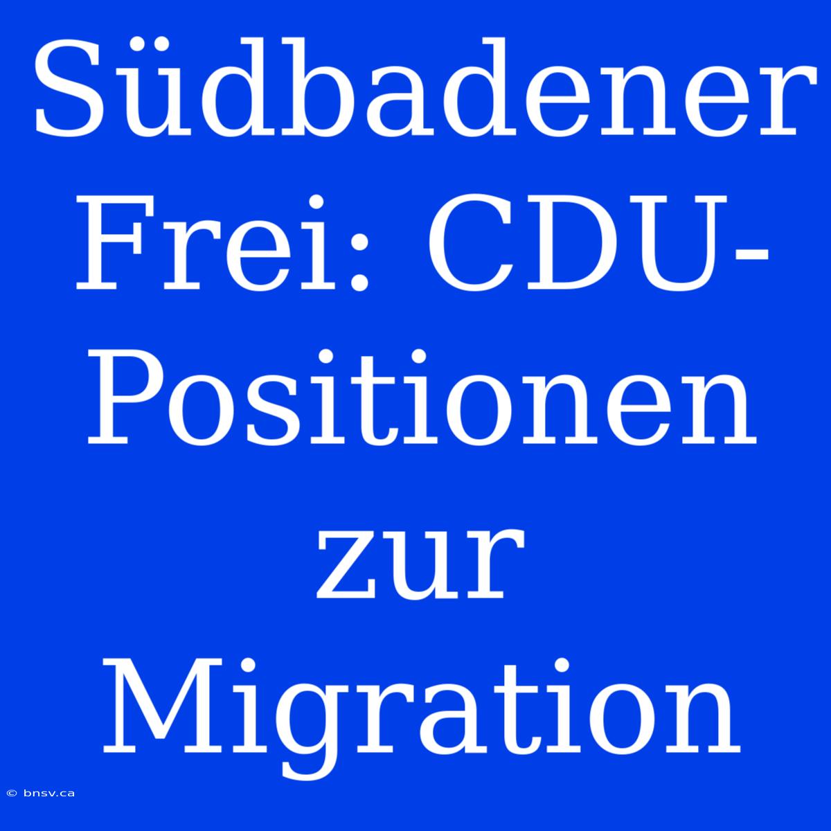 Südbadener Frei: CDU-Positionen Zur Migration