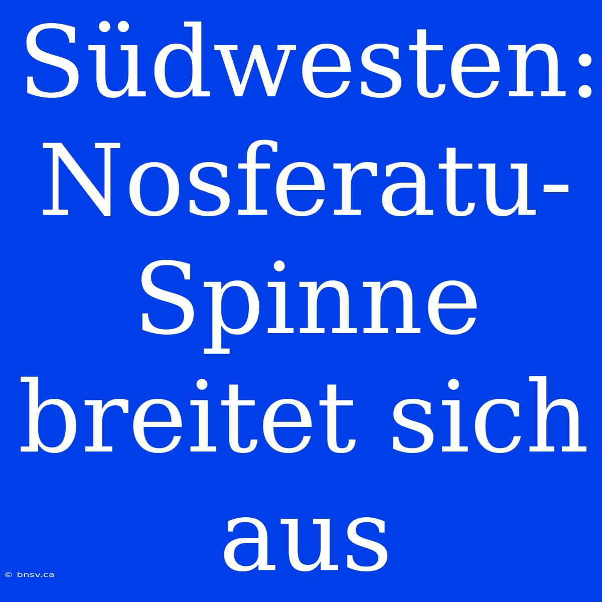 Südwesten: Nosferatu-Spinne Breitet Sich Aus