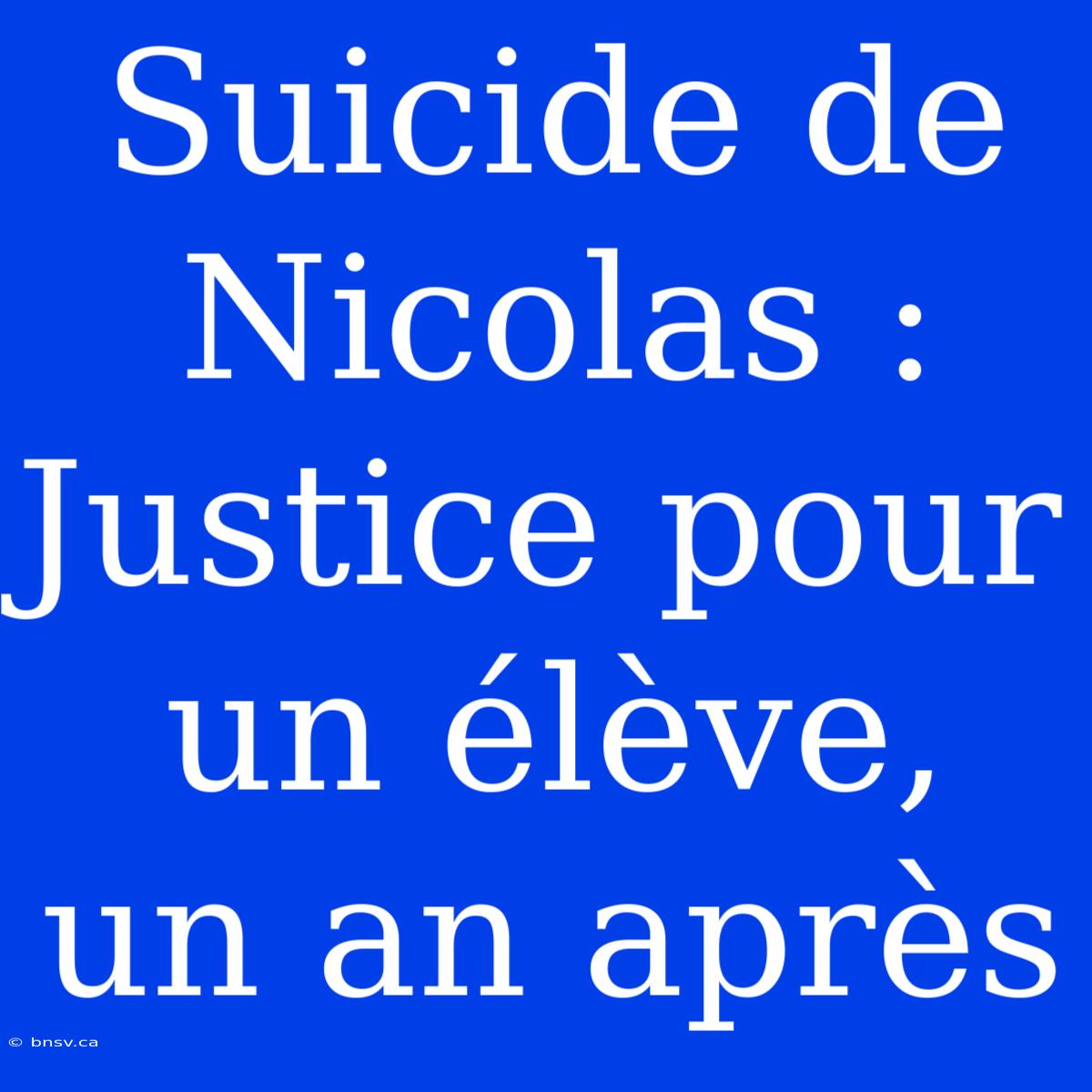 Suicide De Nicolas : Justice Pour Un Élève, Un An Après