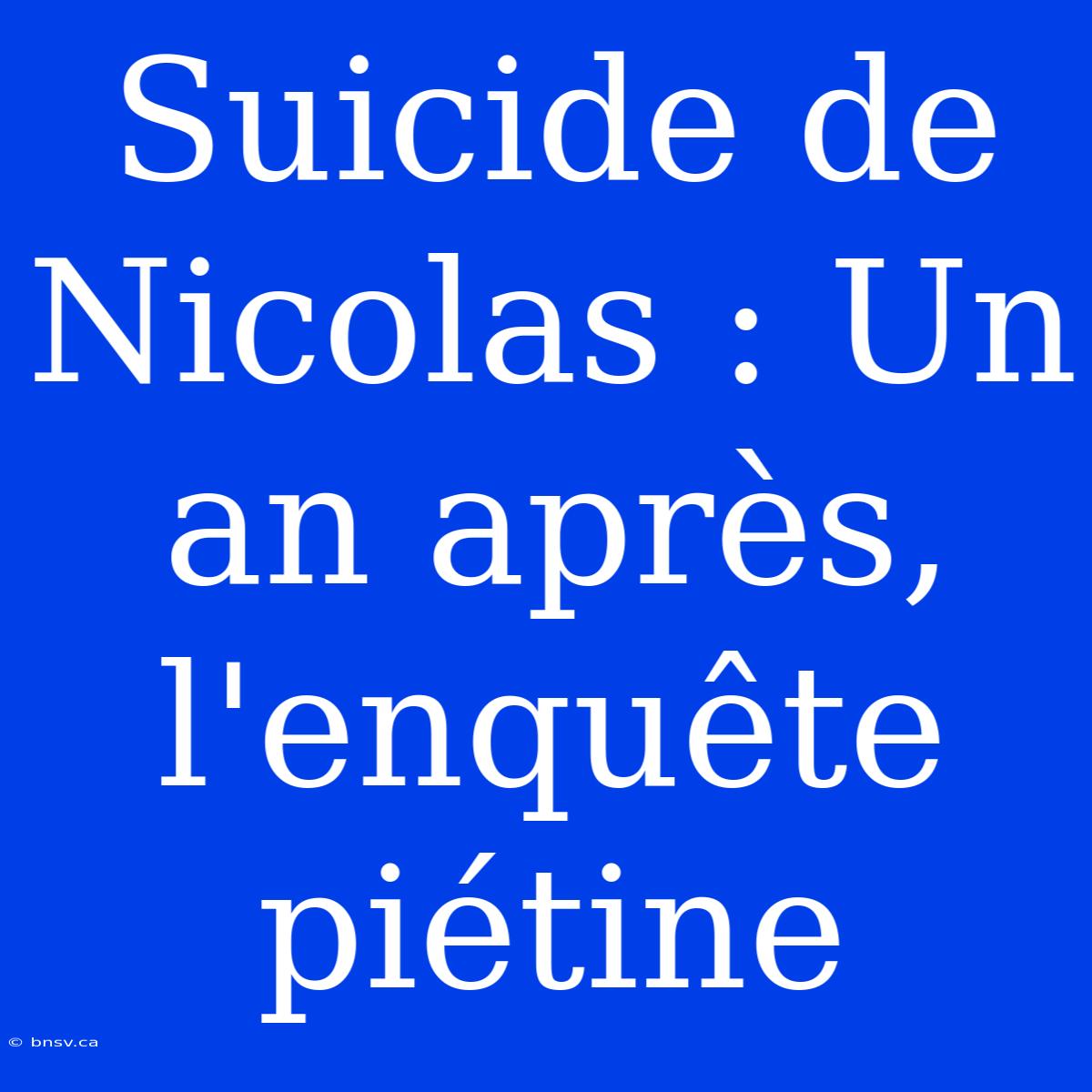 Suicide De Nicolas : Un An Après, L'enquête Piétine