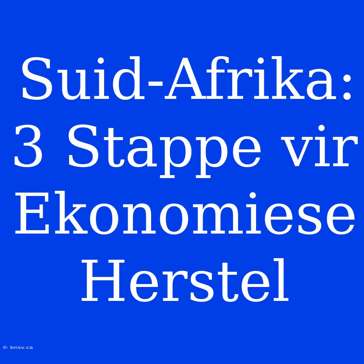 Suid-Afrika: 3 Stappe Vir Ekonomiese Herstel