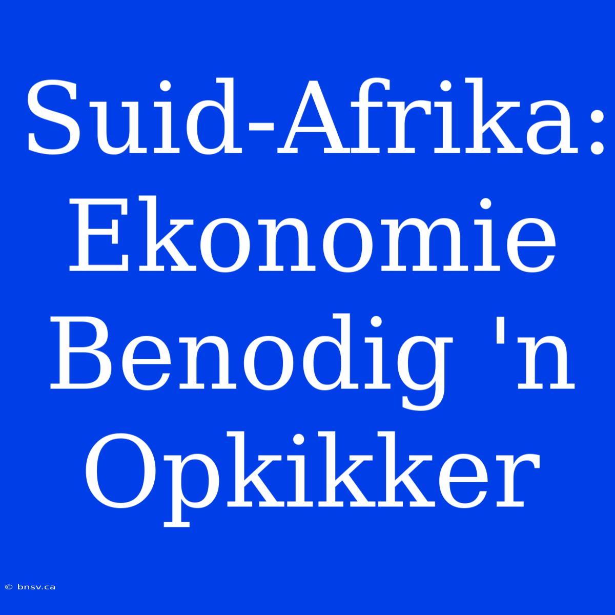 Suid-Afrika: Ekonomie Benodig 'n Opkikker