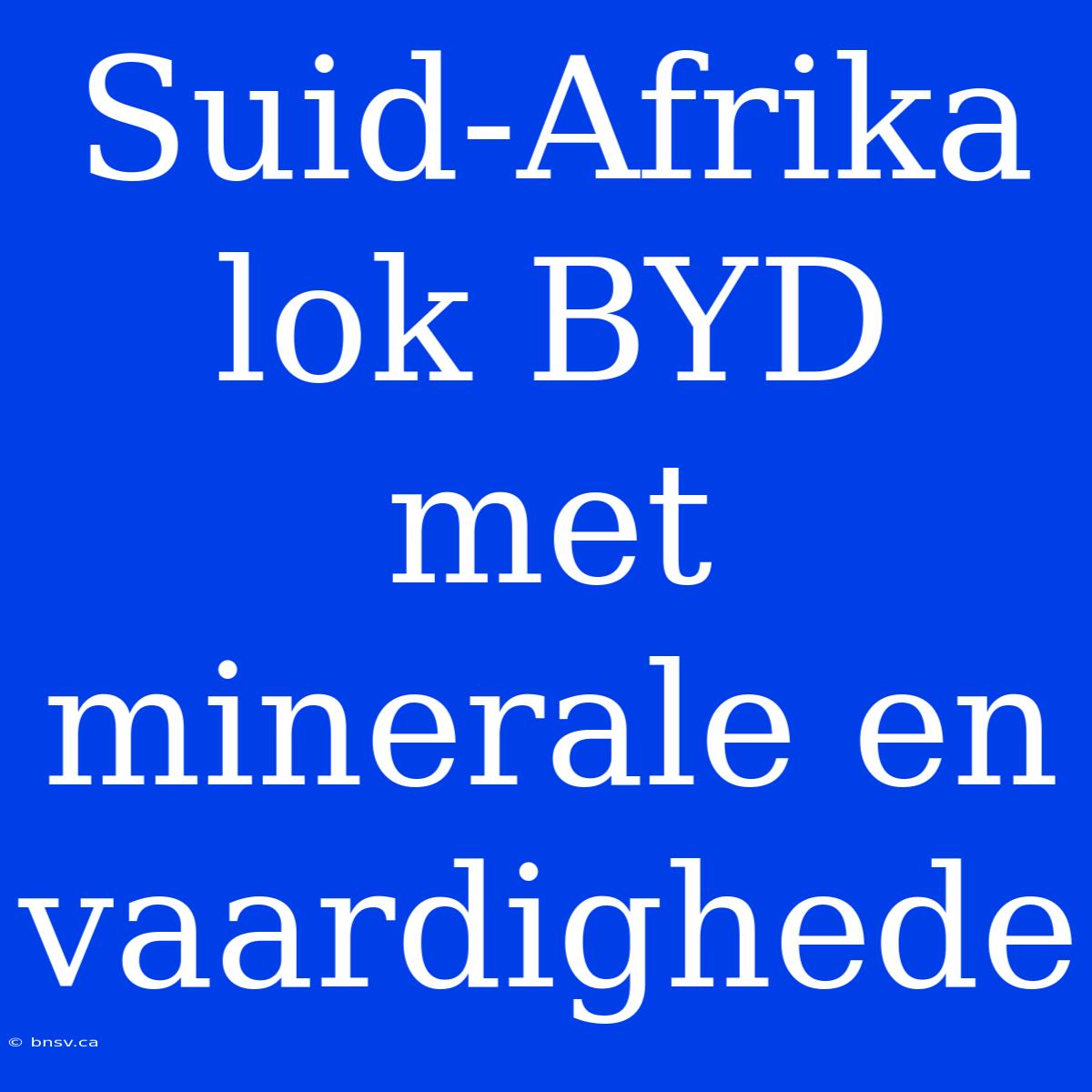 Suid-Afrika Lok BYD Met Minerale En Vaardighede