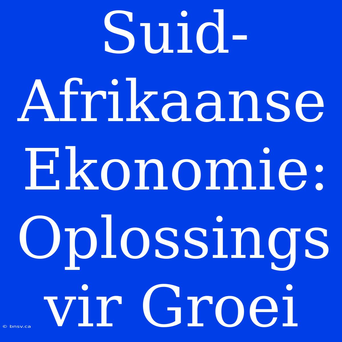 Suid-Afrikaanse Ekonomie: Oplossings Vir Groei