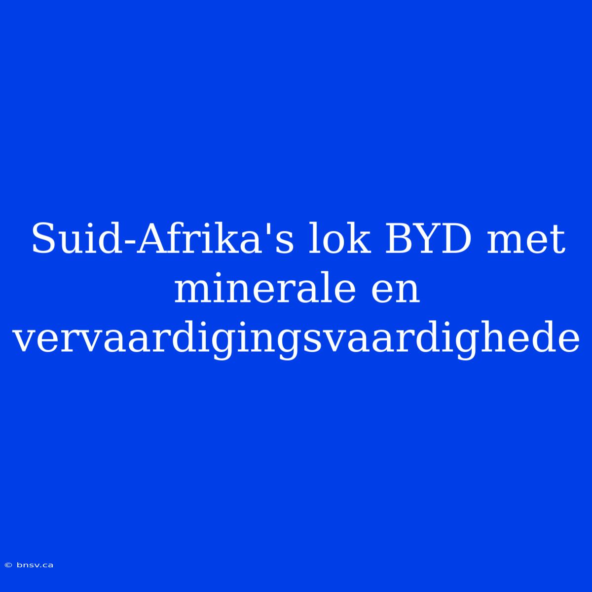 Suid-Afrika's Lok BYD Met Minerale En Vervaardigingsvaardighede