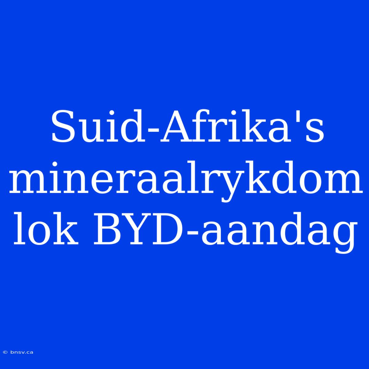 Suid-Afrika's Mineraalrykdom Lok BYD-aandag