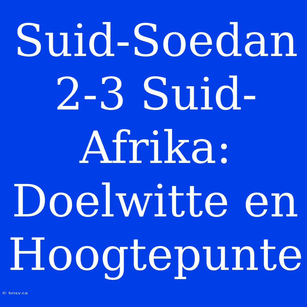 Suid-Soedan 2-3 Suid-Afrika: Doelwitte En Hoogtepunte