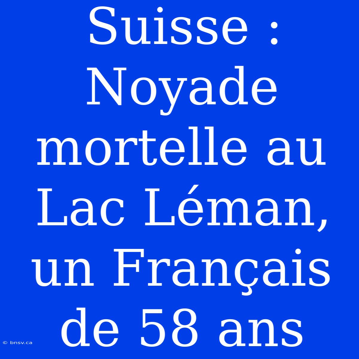 Suisse : Noyade Mortelle Au Lac Léman, Un Français De 58 Ans