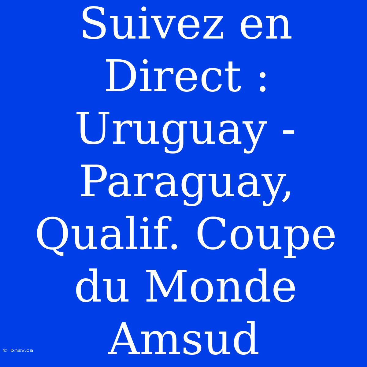 Suivez En Direct : Uruguay - Paraguay, Qualif. Coupe Du Monde Amsud