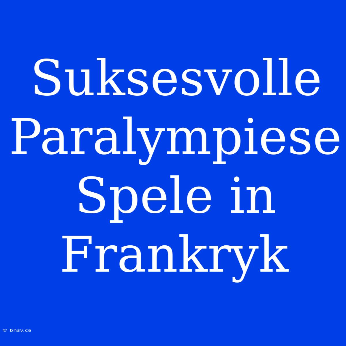 Suksesvolle Paralympiese Spele In Frankryk