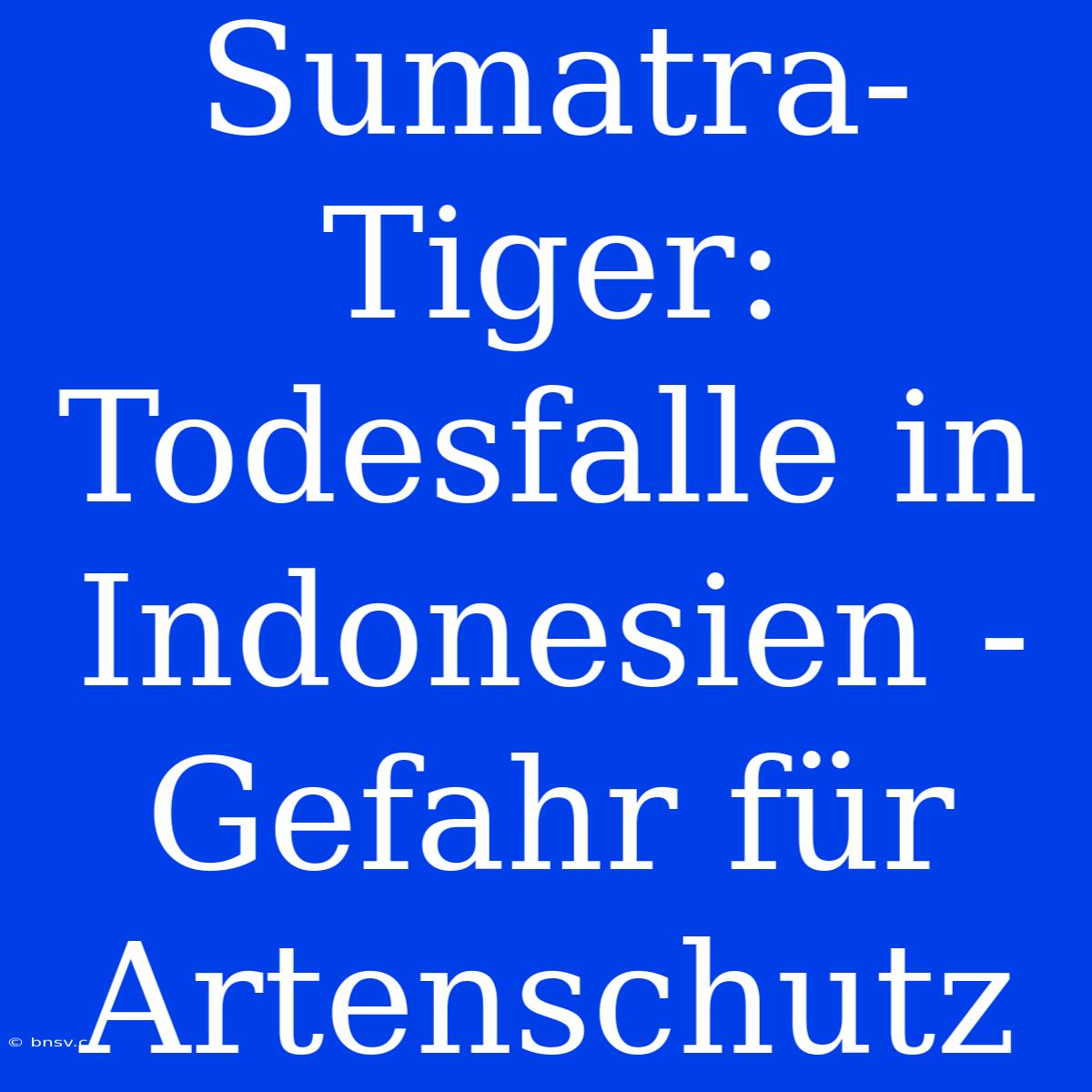 Sumatra-Tiger: Todesfalle In Indonesien - Gefahr Für Artenschutz