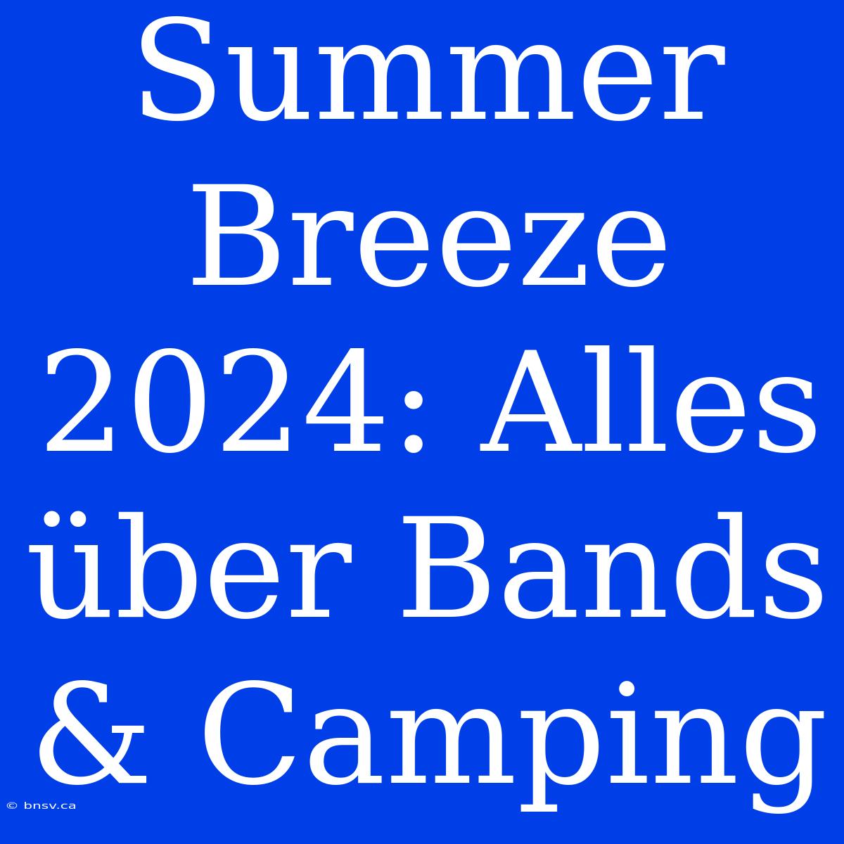 Summer Breeze 2024: Alles Über Bands & Camping