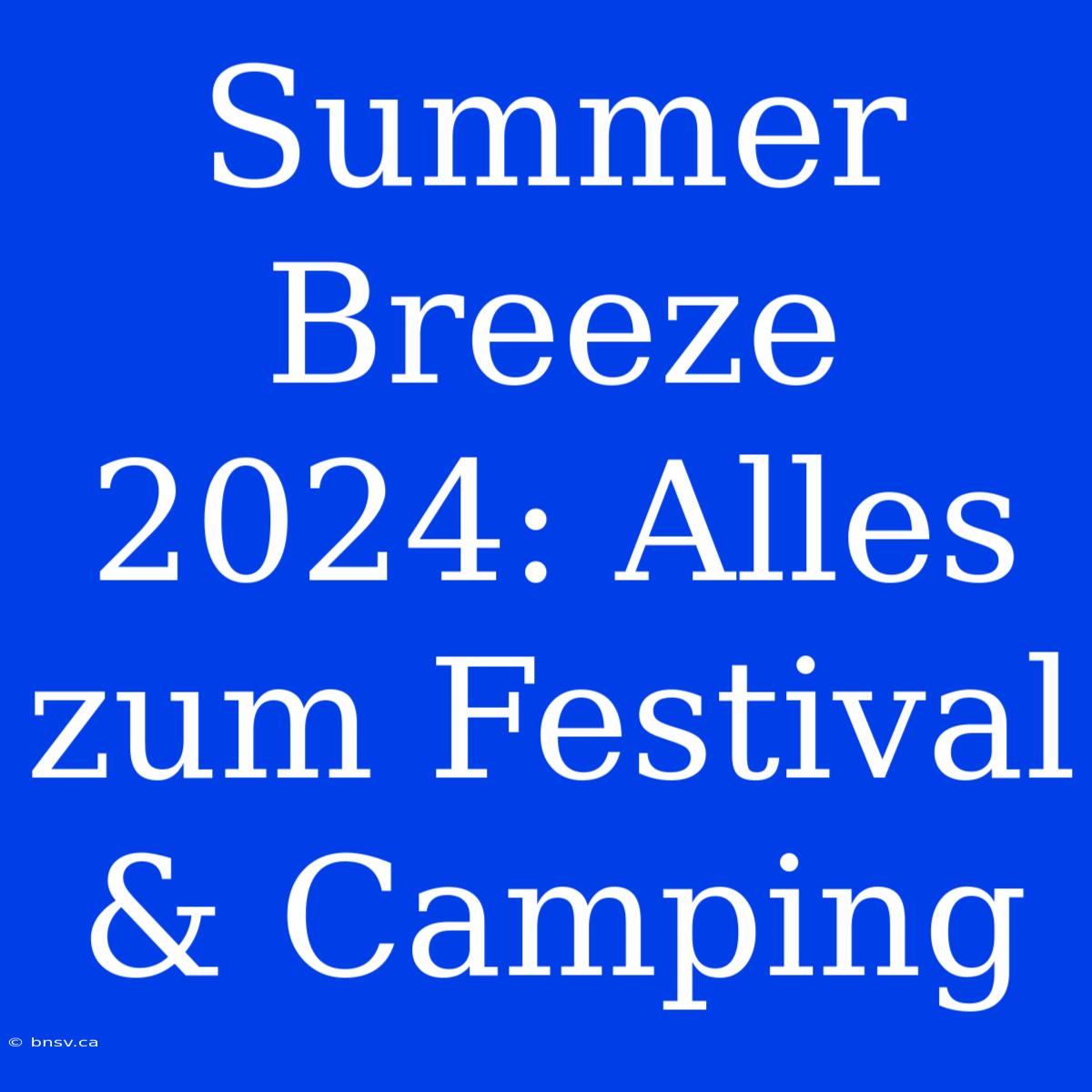 Summer Breeze 2024: Alles Zum Festival & Camping