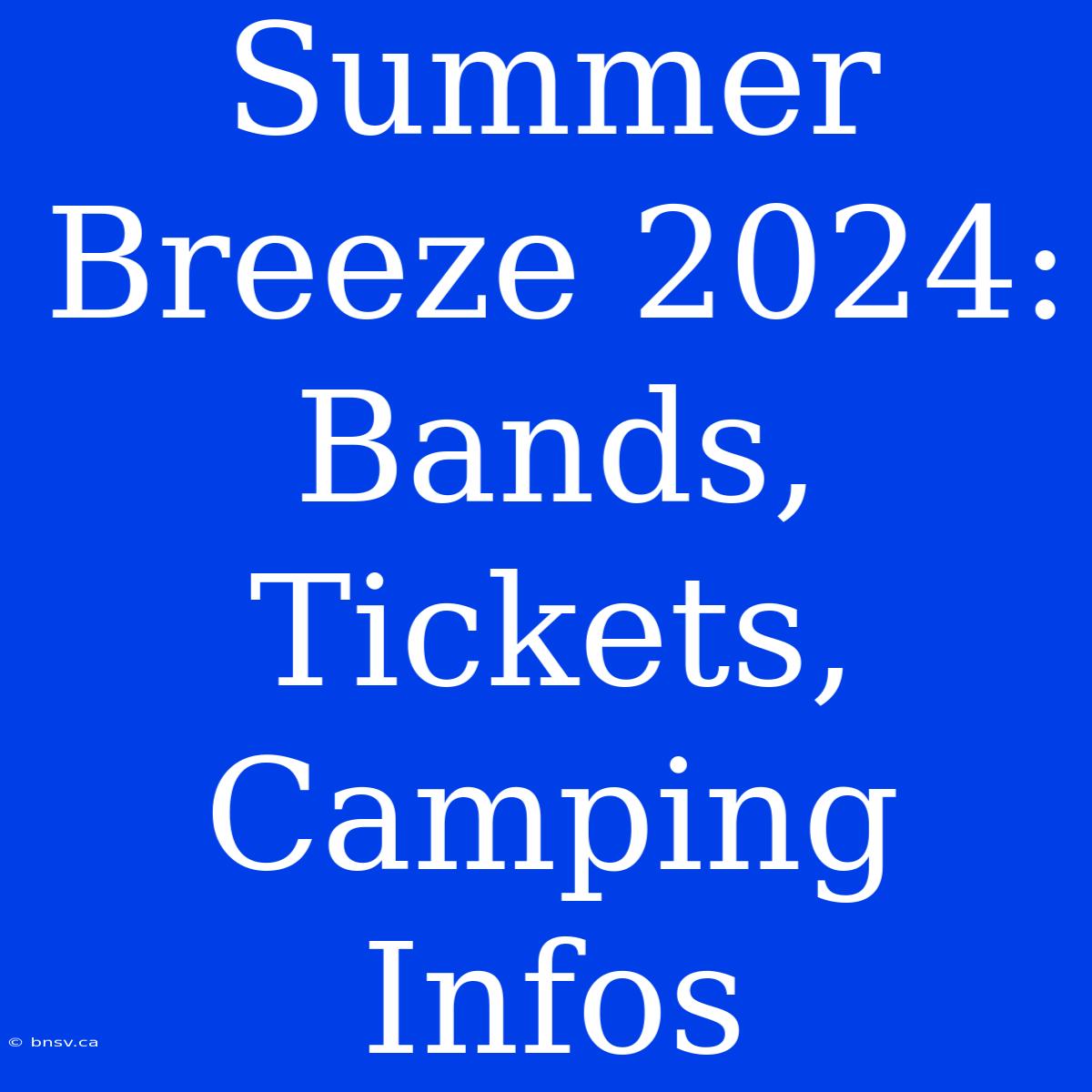 Summer Breeze 2024: Bands, Tickets, Camping Infos