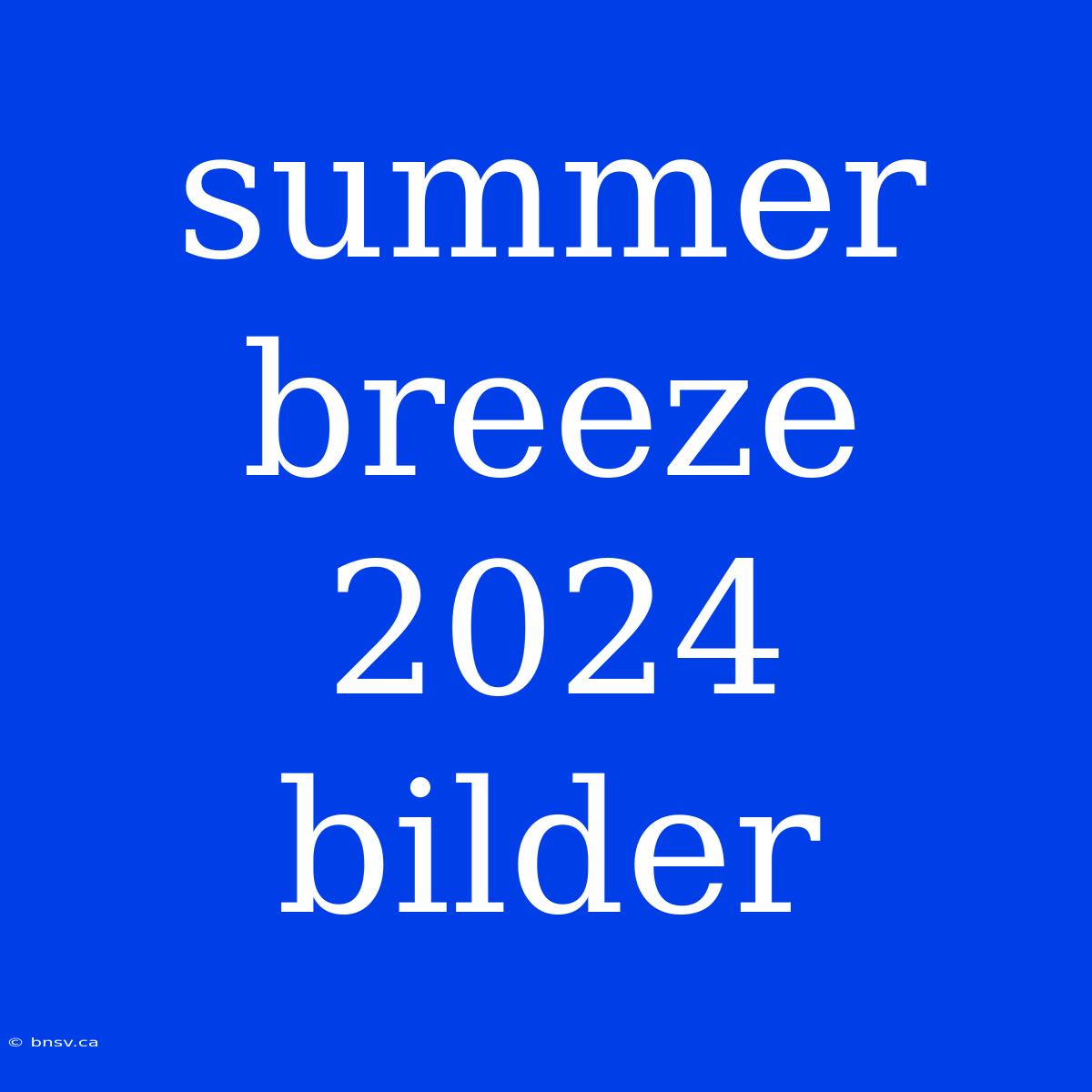 Summer Breeze 2024 Bilder