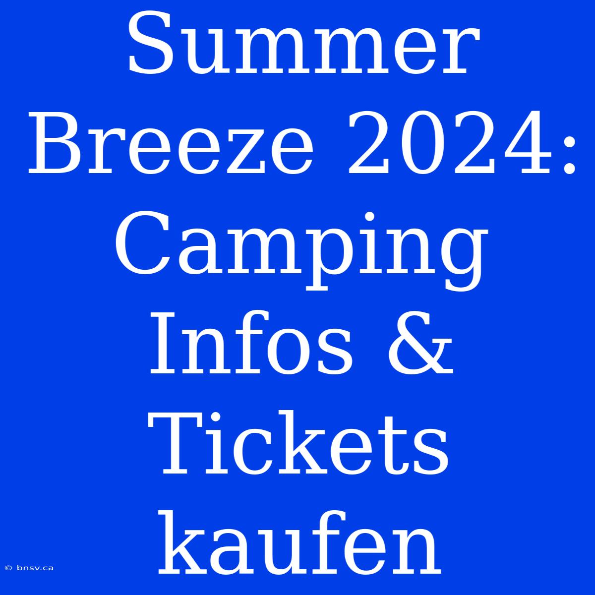 Summer Breeze 2024: Camping Infos & Tickets Kaufen