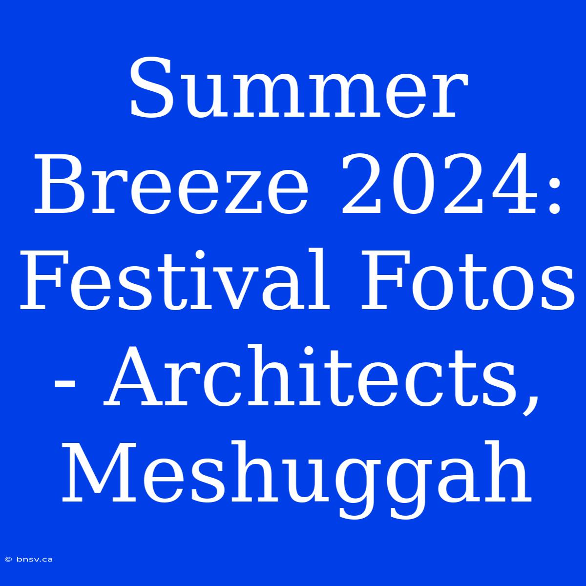 Summer Breeze 2024: Festival Fotos - Architects, Meshuggah