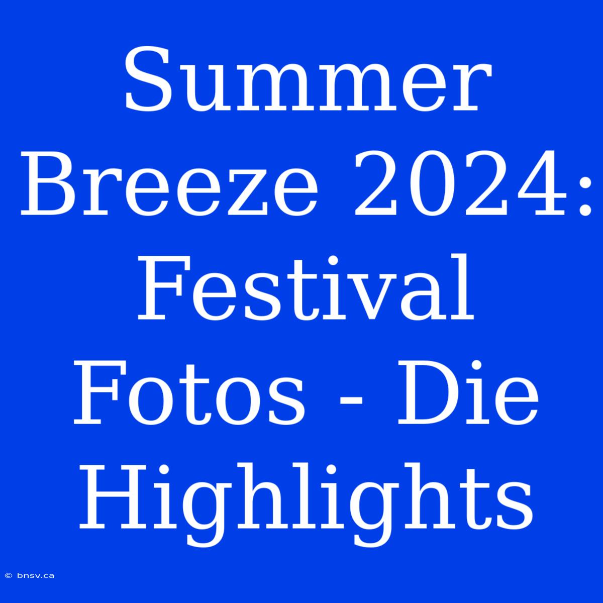 Summer Breeze 2024: Festival Fotos - Die Highlights