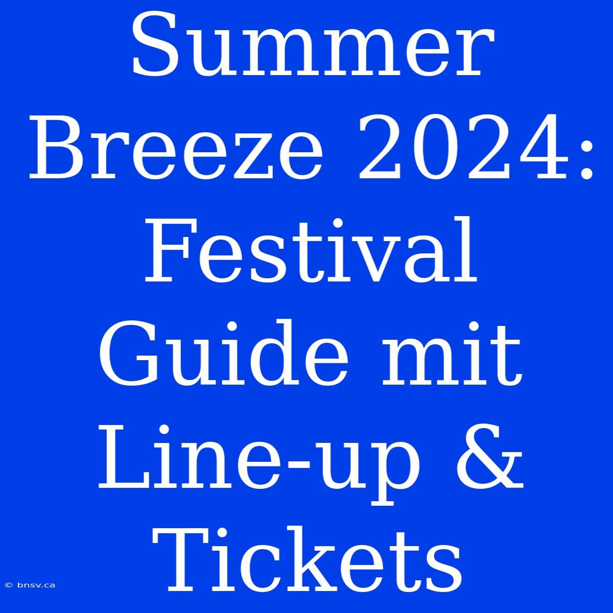 Summer Breeze 2024: Festival Guide Mit Line-up & Tickets