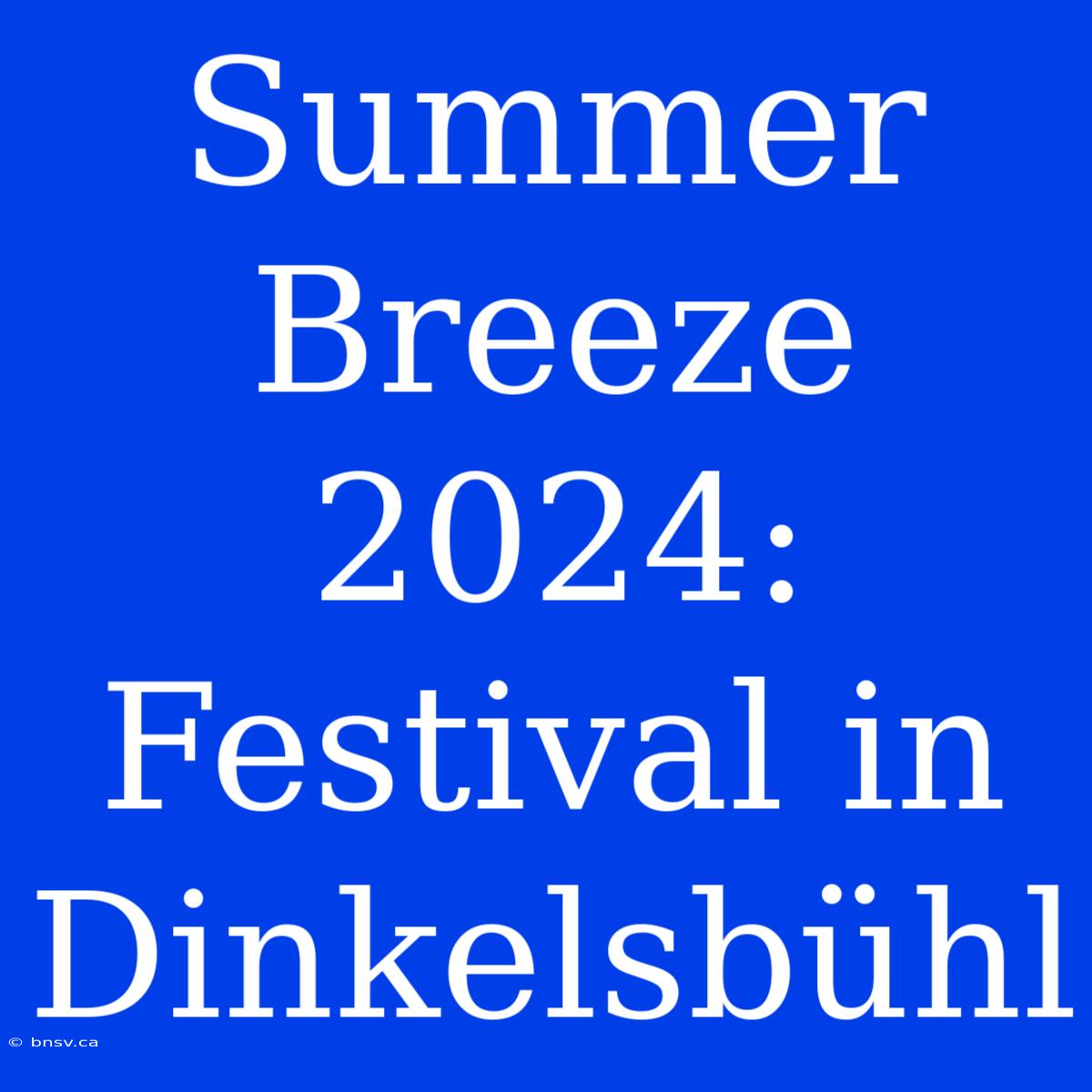 Summer Breeze 2024: Festival In Dinkelsbühl