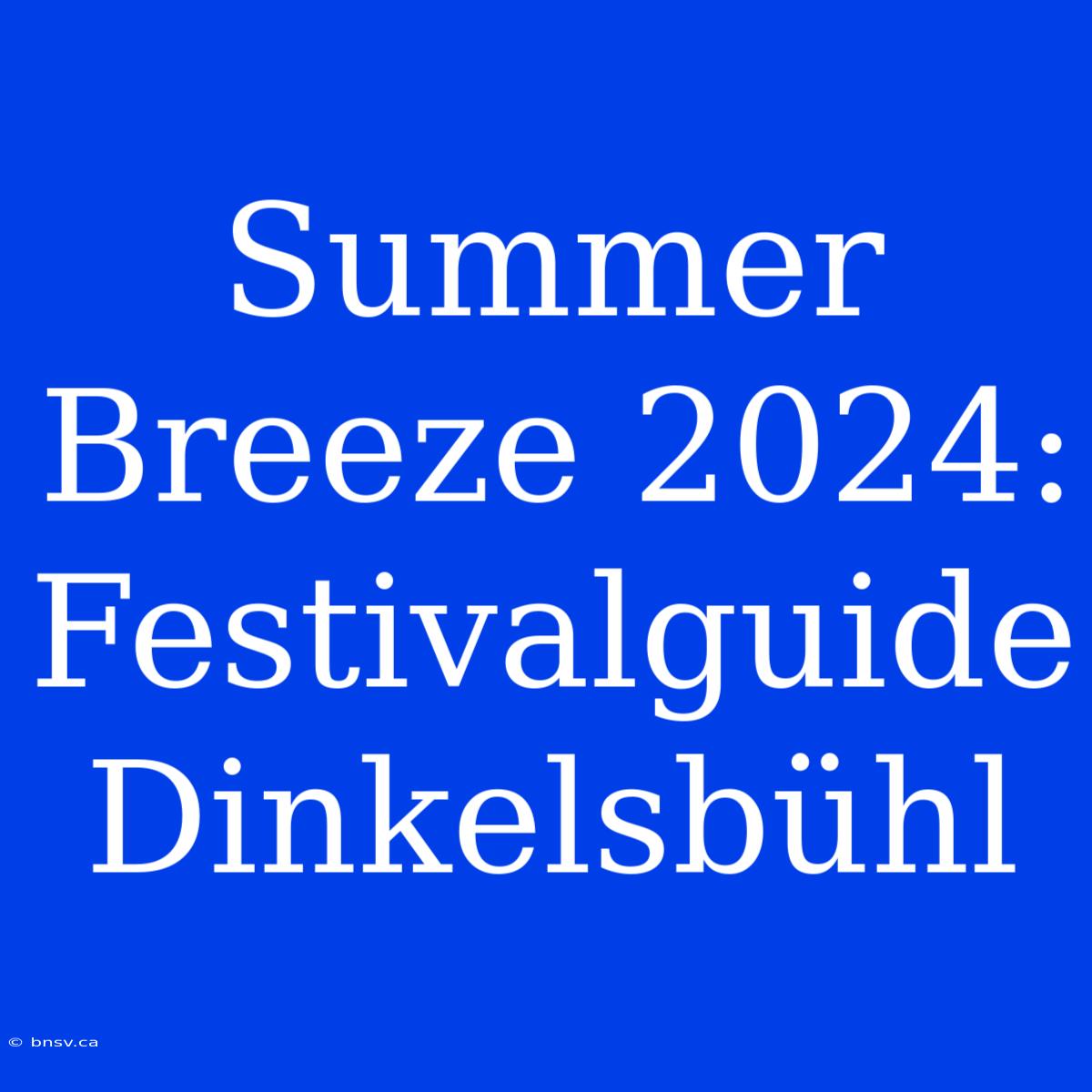 Summer Breeze 2024: Festivalguide Dinkelsbühl