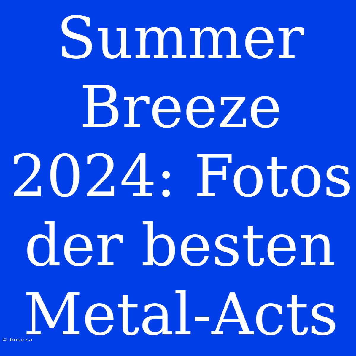 Summer Breeze 2024: Fotos Der Besten Metal-Acts