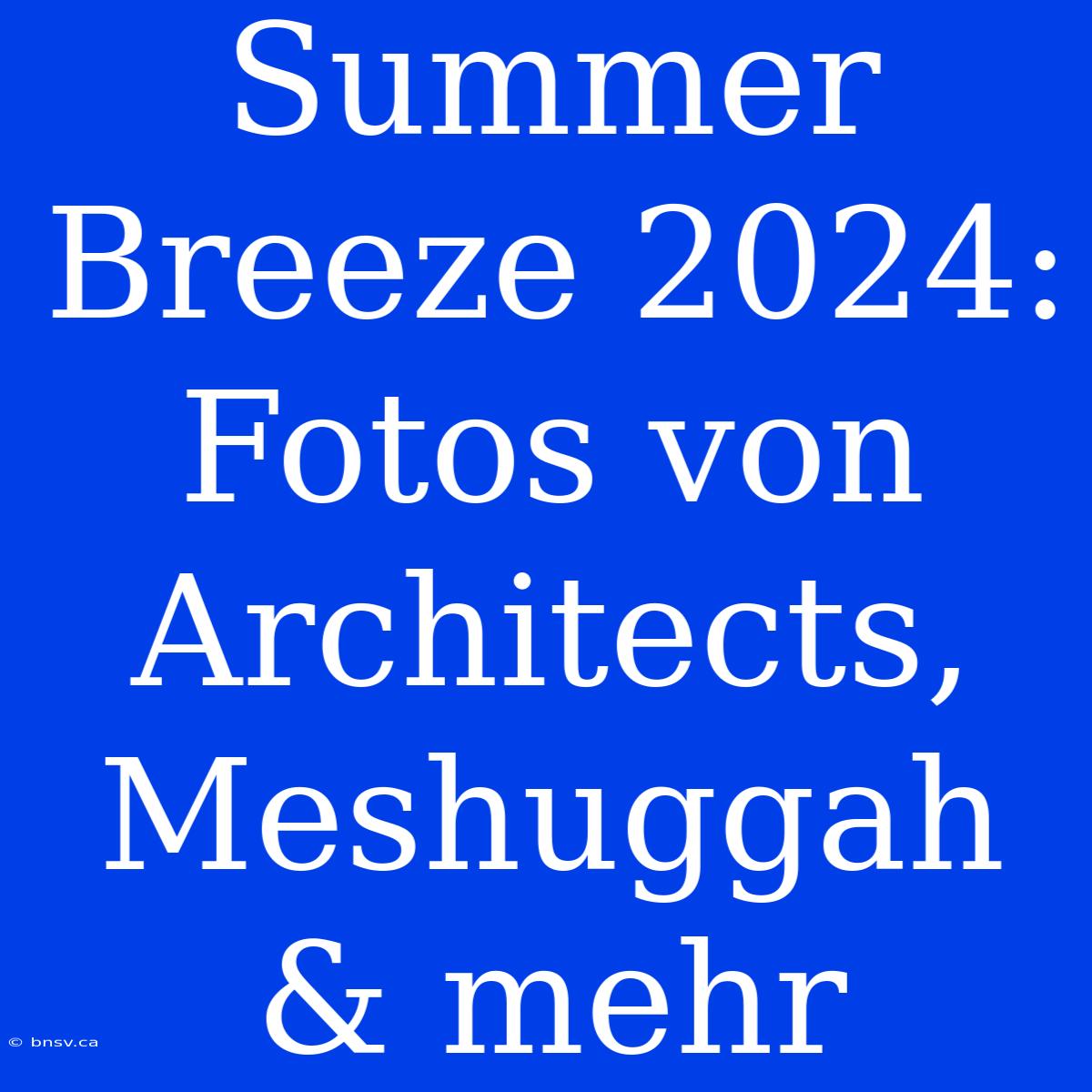 Summer Breeze 2024: Fotos Von Architects, Meshuggah & Mehr