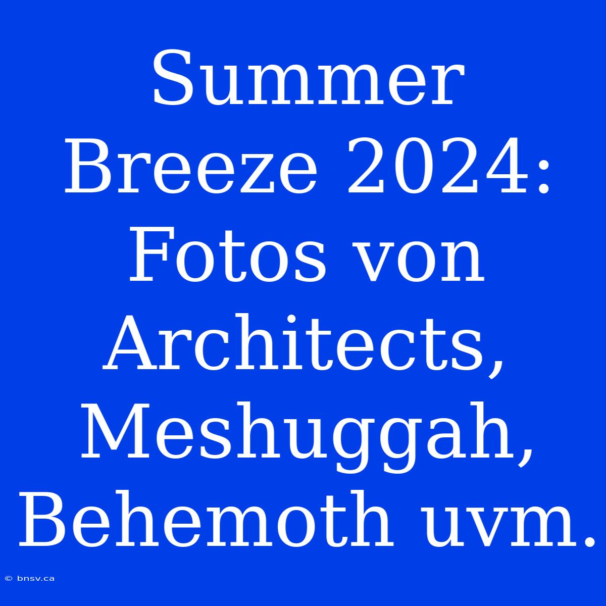 Summer Breeze 2024: Fotos Von Architects, Meshuggah, Behemoth Uvm.