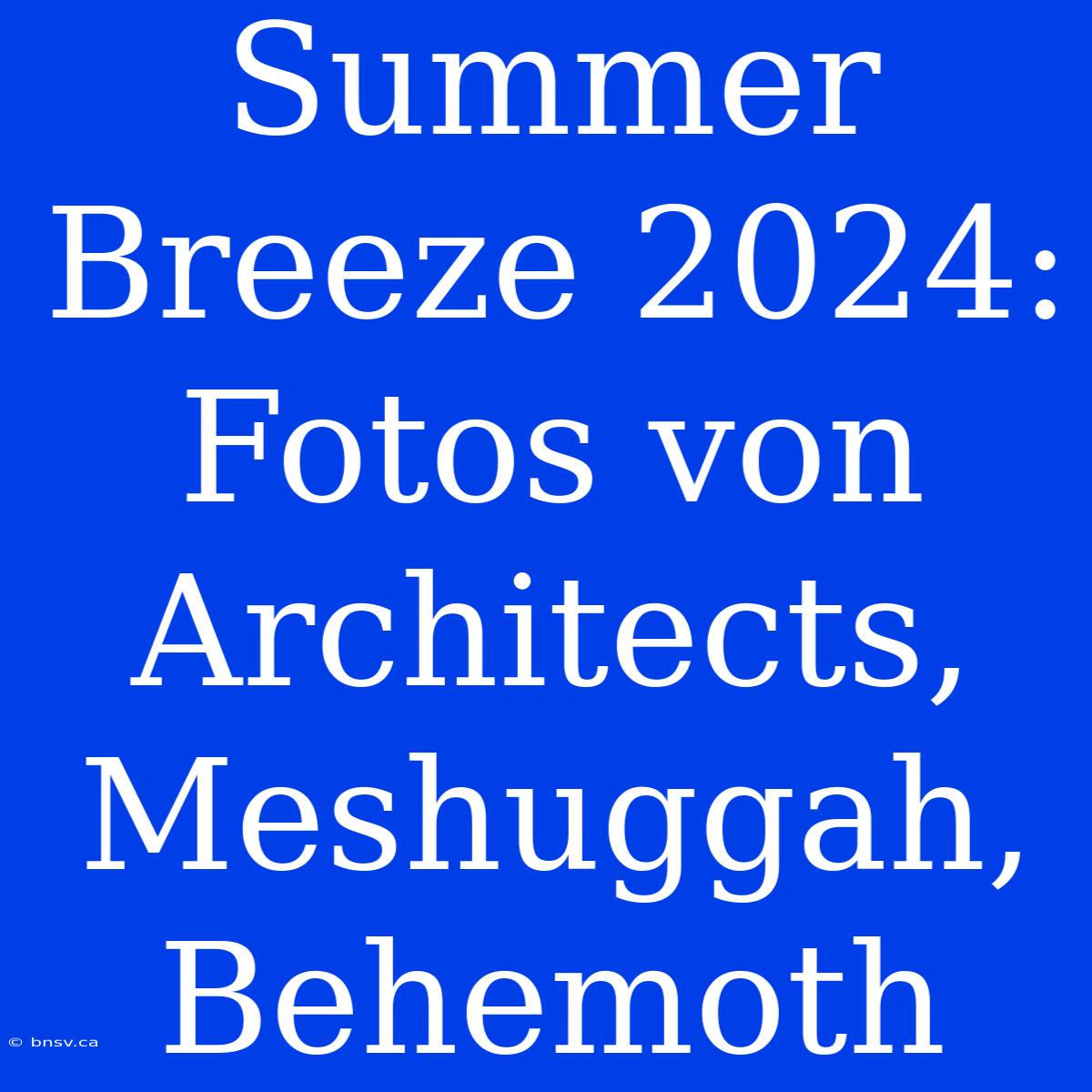 Summer Breeze 2024: Fotos Von Architects, Meshuggah, Behemoth