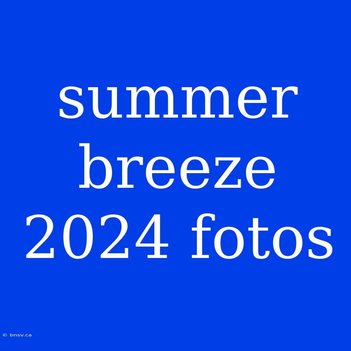 Summer Breeze 2024 Fotos