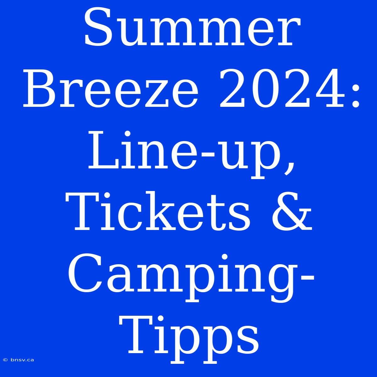 Summer Breeze 2024: Line-up, Tickets & Camping-Tipps