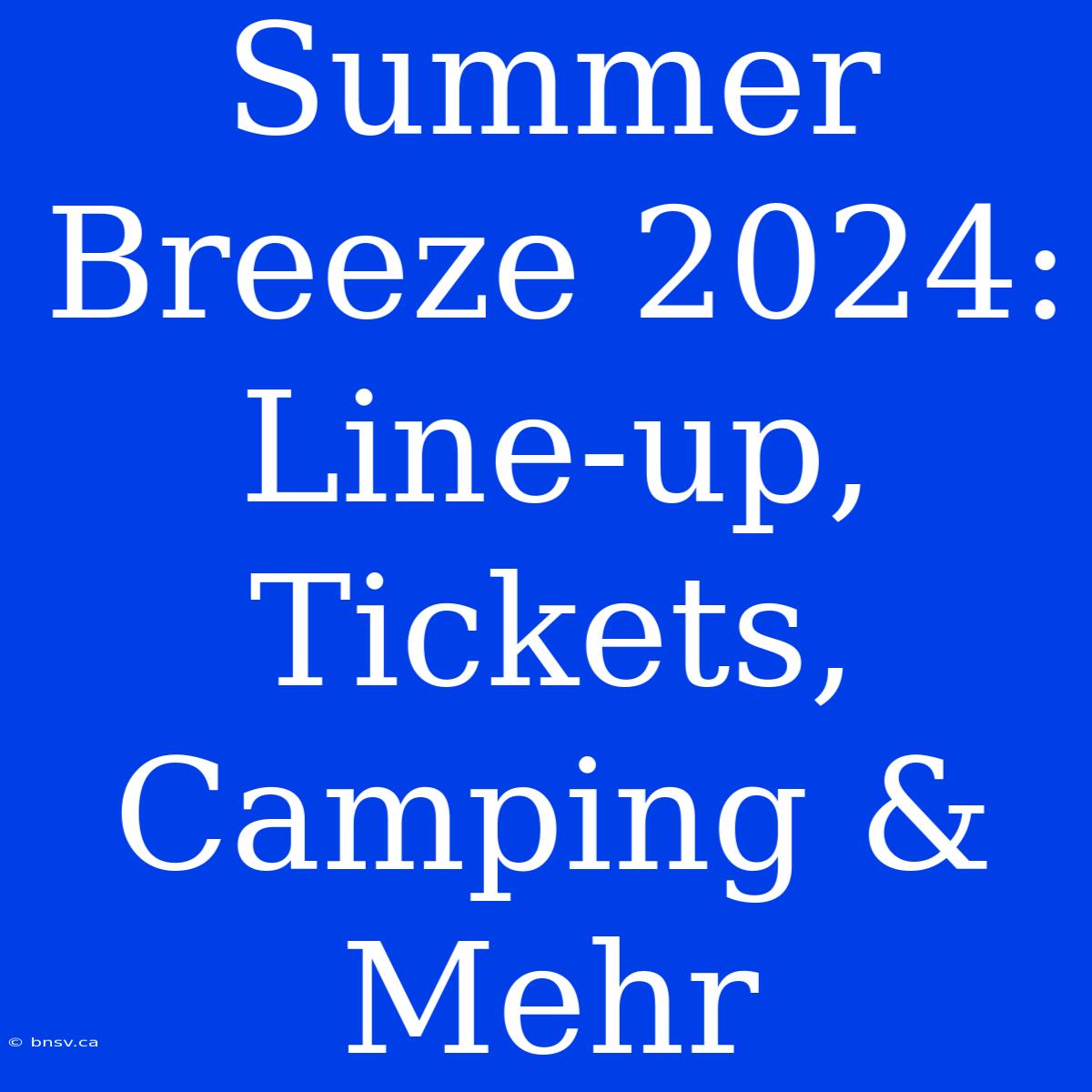 Summer Breeze 2024: Line-up, Tickets, Camping & Mehr