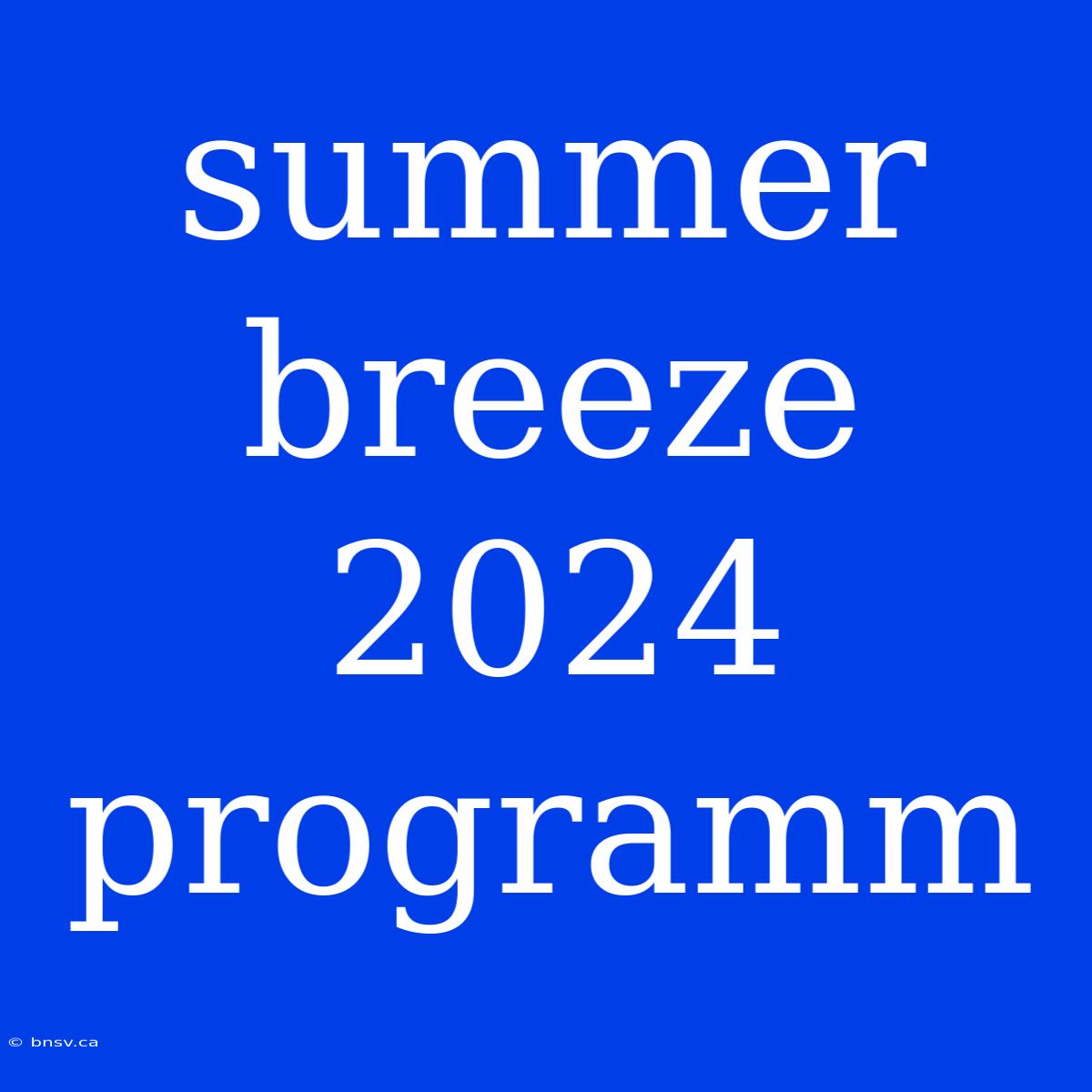 Summer Breeze 2024 Programm