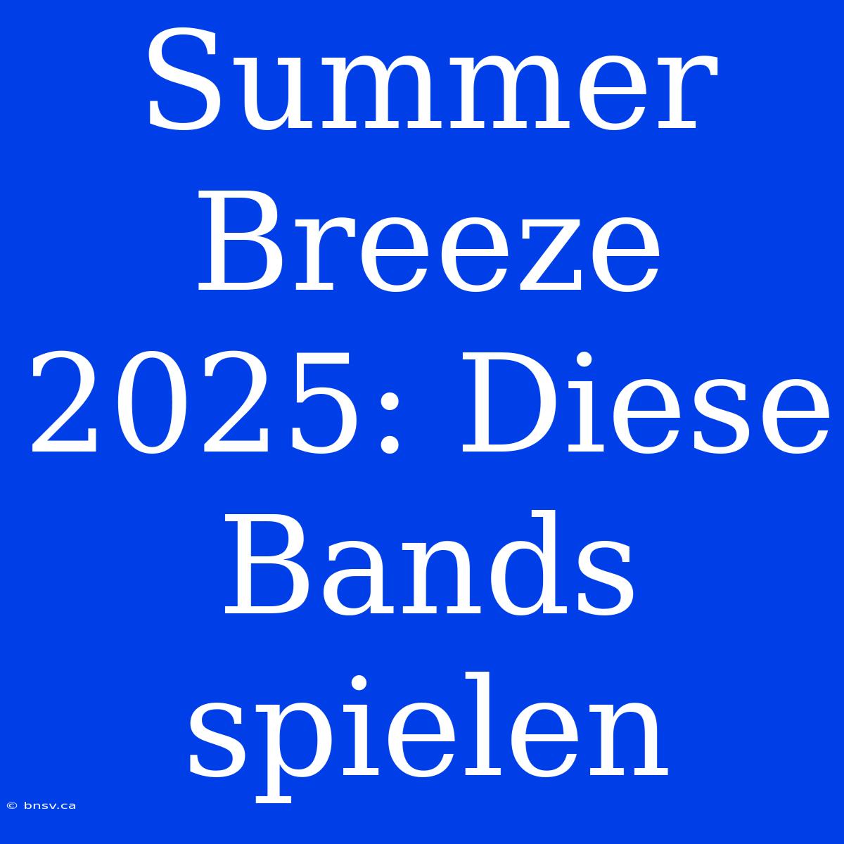 Summer Breeze 2025: Diese Bands Spielen