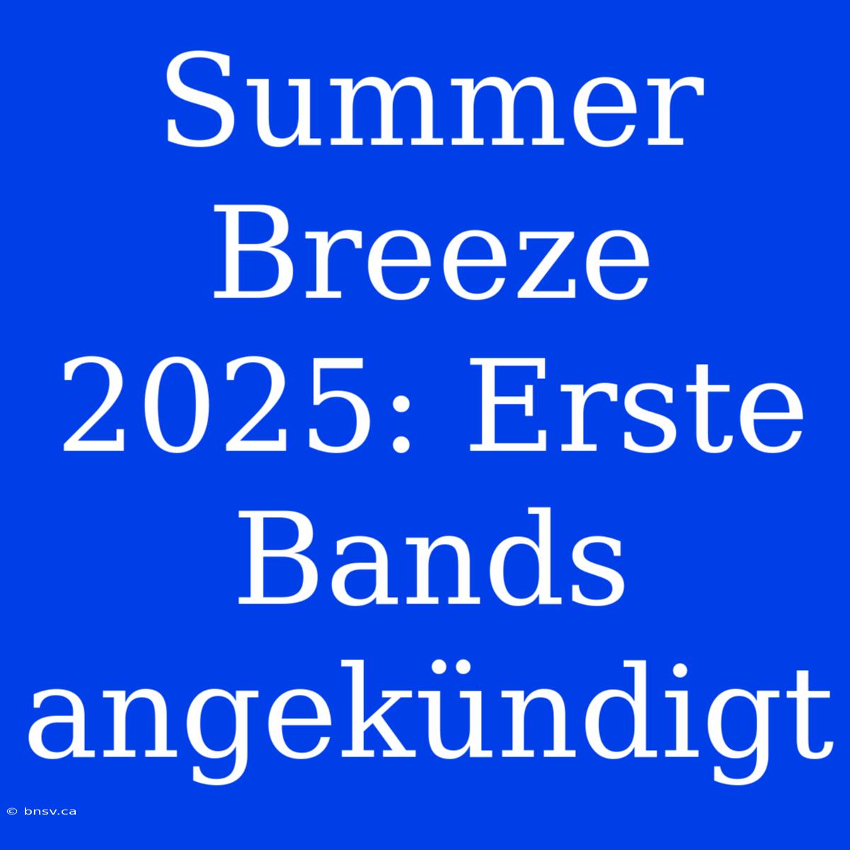 Summer Breeze 2025: Erste Bands Angekündigt