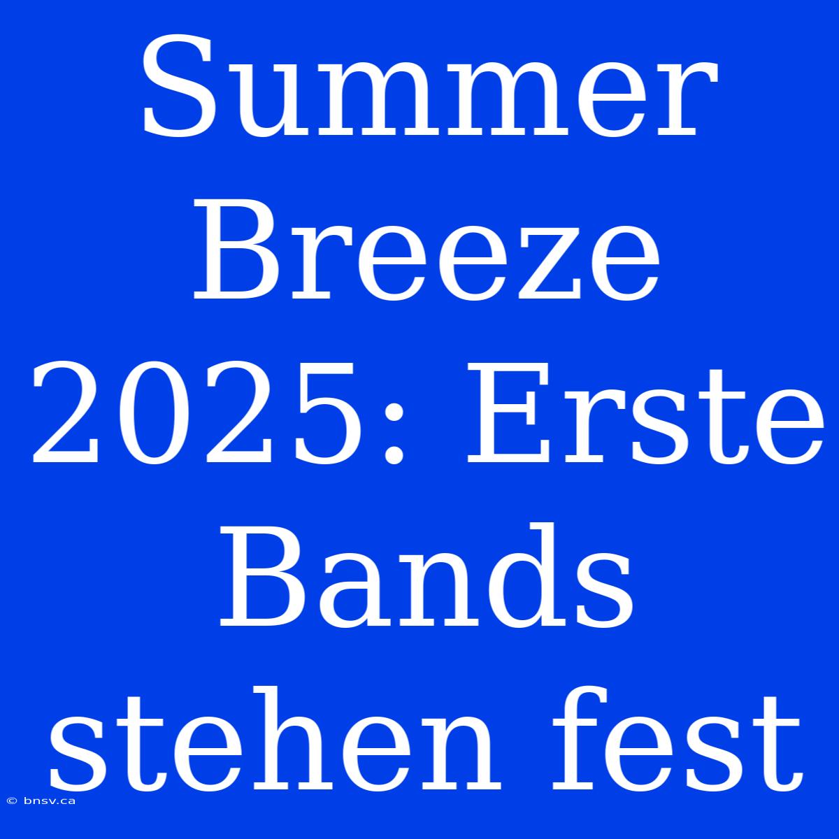 Summer Breeze 2025: Erste Bands Stehen Fest