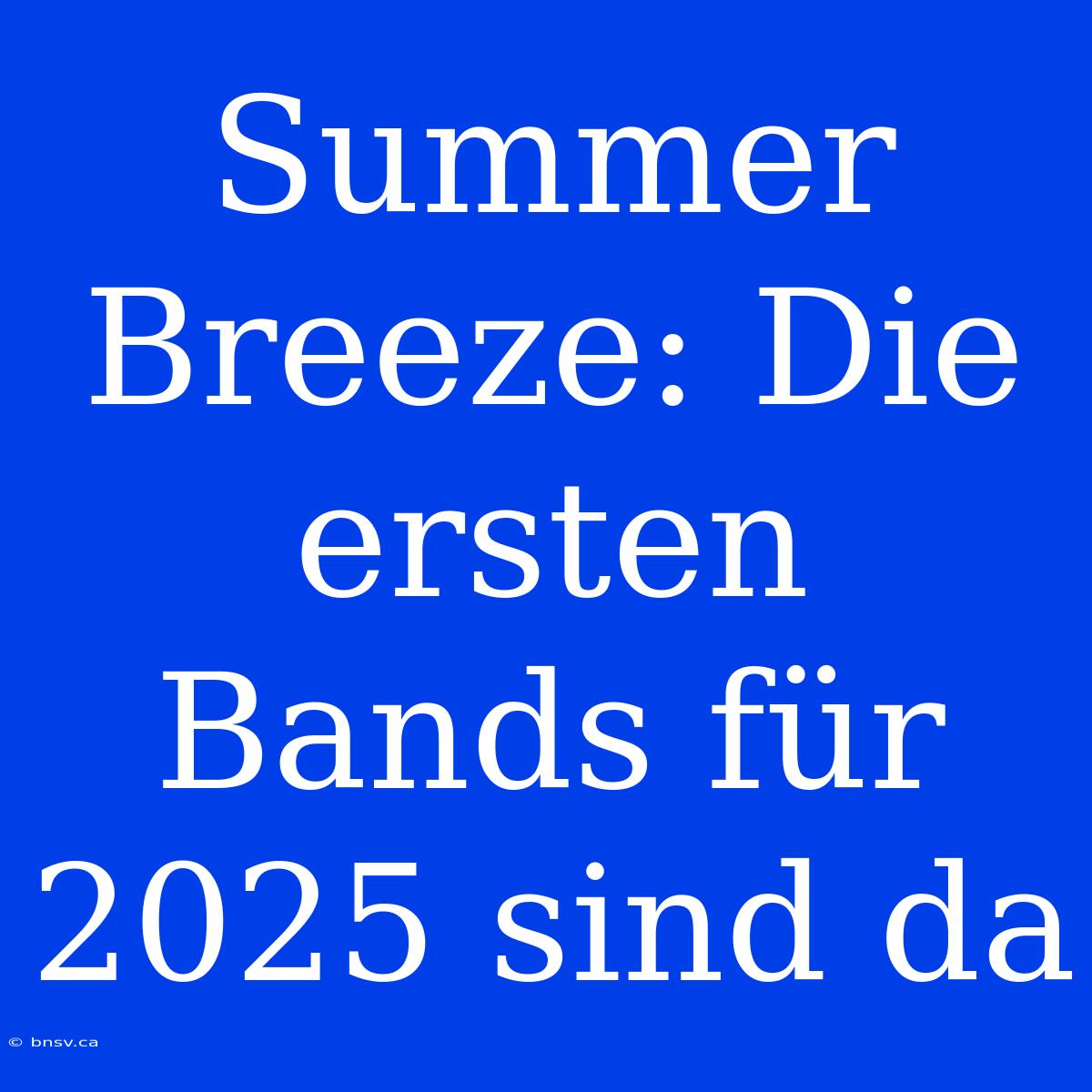 Summer Breeze: Die Ersten Bands Für 2025 Sind Da