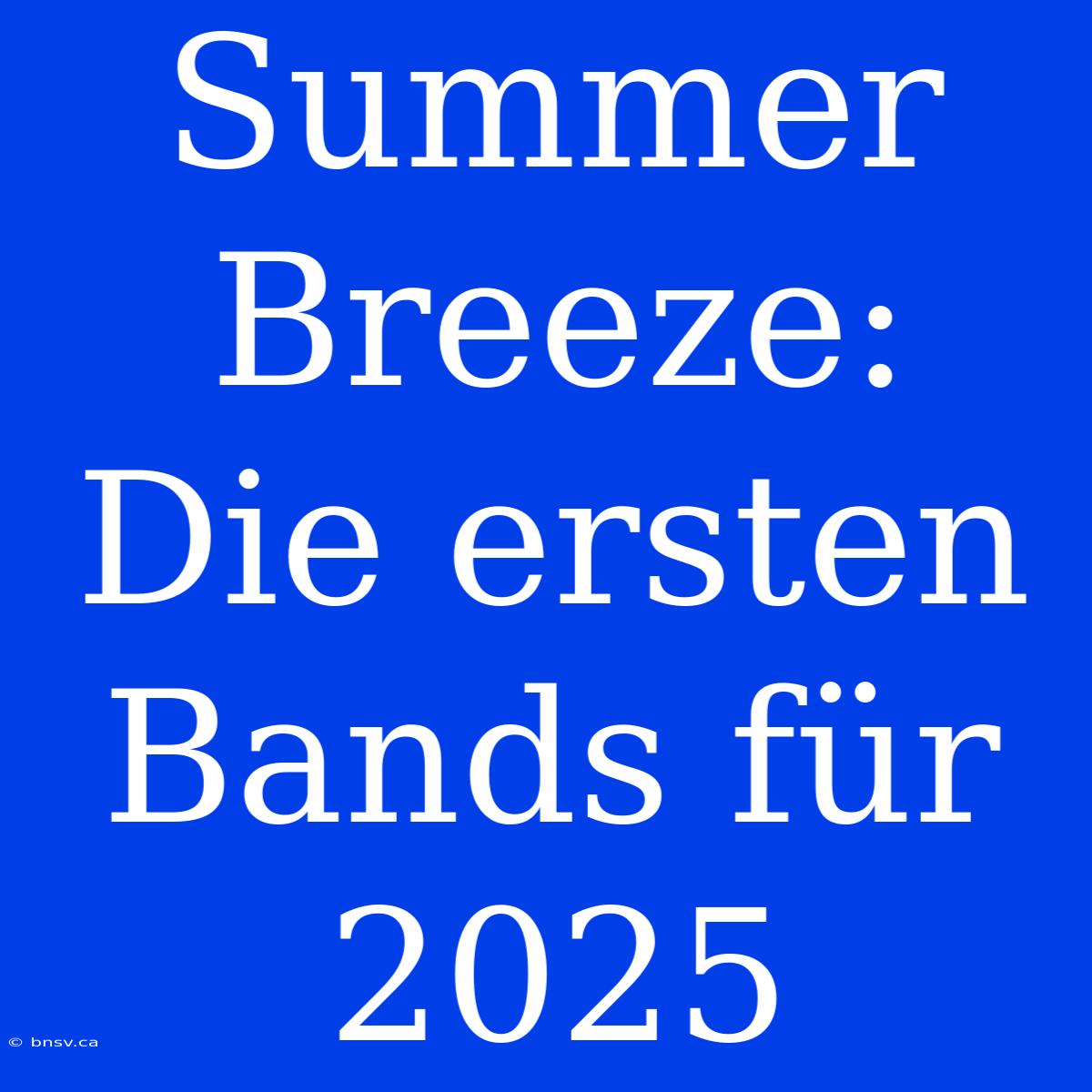 Summer Breeze: Die Ersten Bands Für 2025