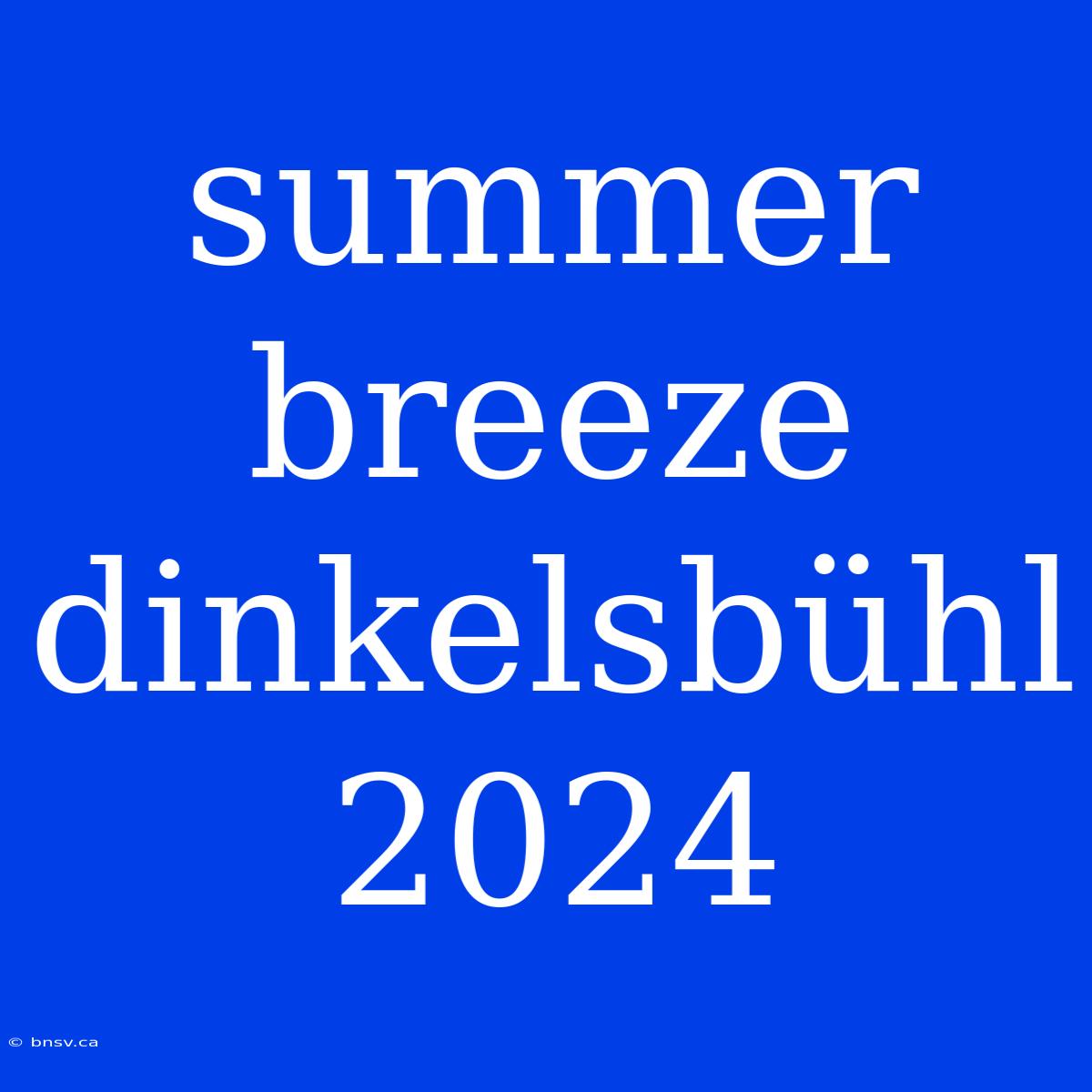 Summer Breeze Dinkelsbühl 2024