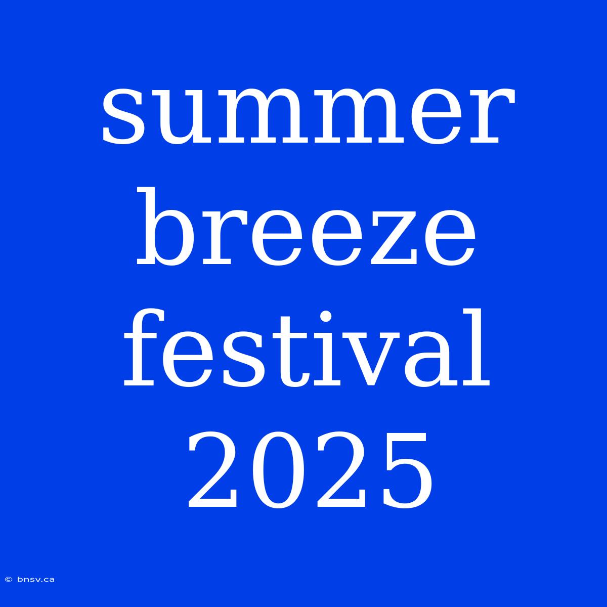 Summer Breeze Festival 2025