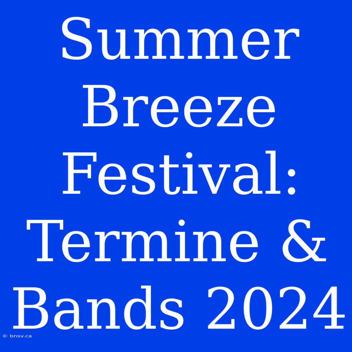 Summer Breeze Festival: Termine & Bands 2024