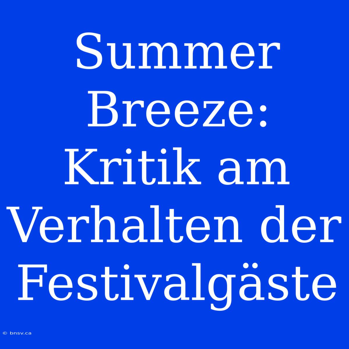 Summer Breeze: Kritik Am Verhalten Der Festivalgäste