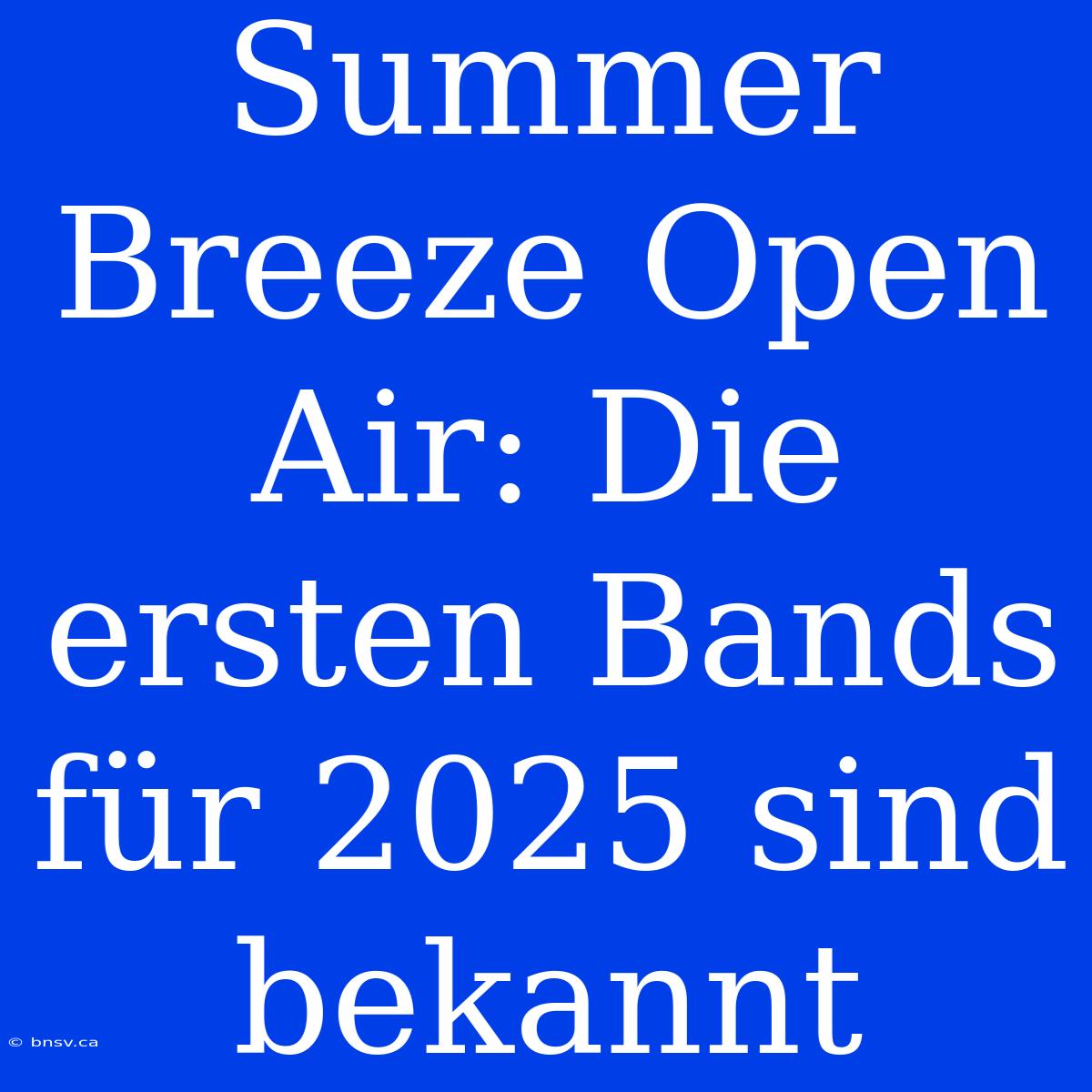 Summer Breeze Open Air: Die Ersten Bands Für 2025 Sind Bekannt