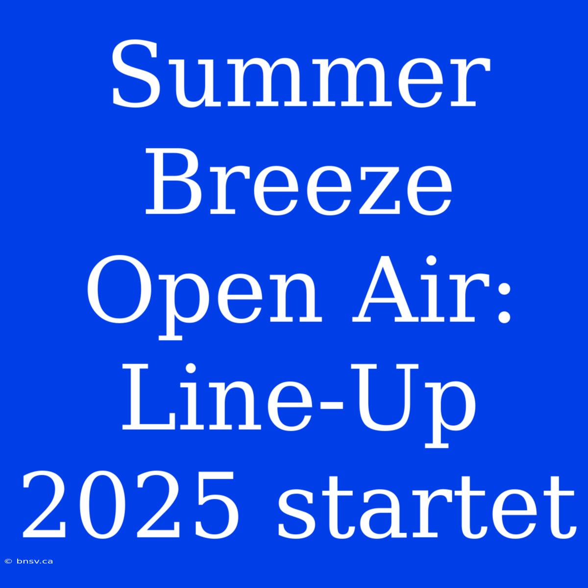 Summer Breeze Open Air: Line-Up 2025 Startet