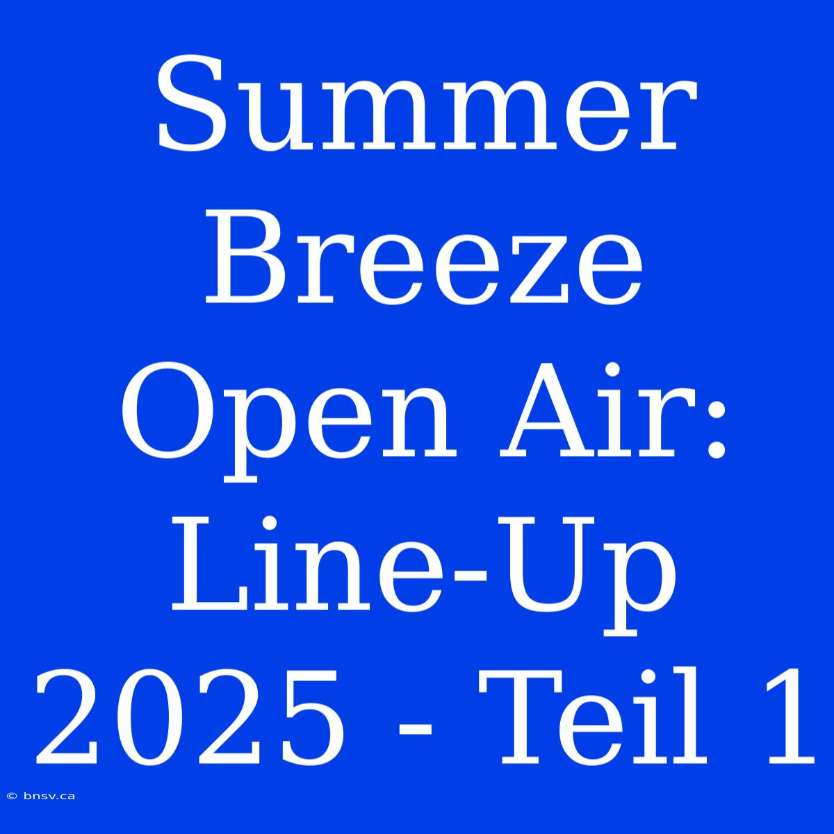 Summer Breeze Open Air: Line-Up 2025 - Teil 1