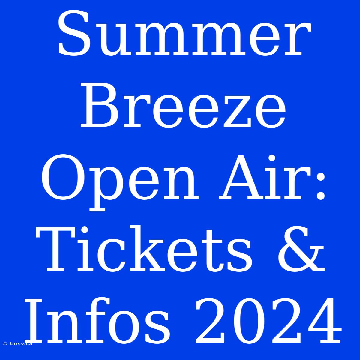 Summer Breeze Open Air: Tickets & Infos 2024